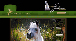 Desktop Screenshot of equidsystem.com